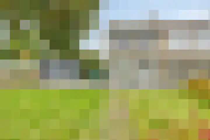 Het Hoefke 42 Ossendrecht thumbnail 30