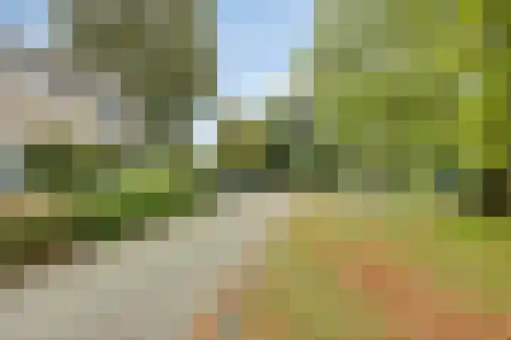 Het Hoefke 42 Ossendrecht thumbnail 36