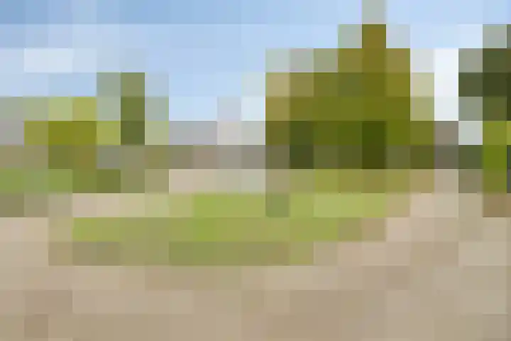 Het Hoefke 42 Ossendrecht thumbnail 39