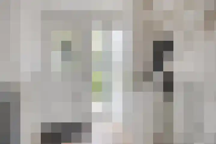 Het Hoefke 42 Ossendrecht thumbnail 6