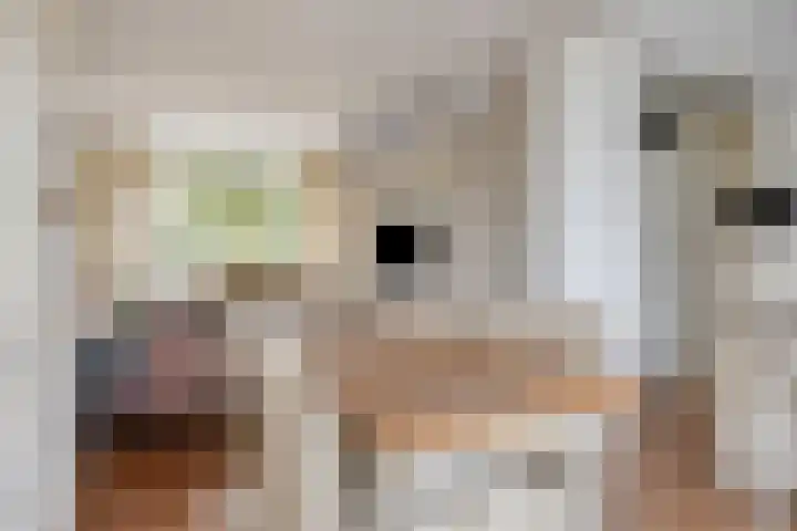 Het Hoefke 42 Ossendrecht thumbnail 8