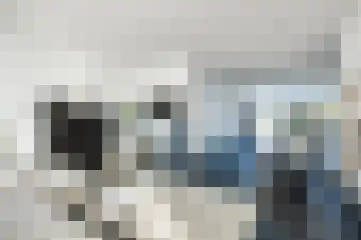 Het Hof 1 B Gemonde thumbnail 11
