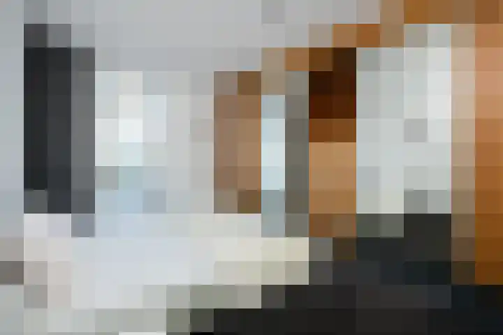 Het Hof 1 B Gemonde thumbnail 18