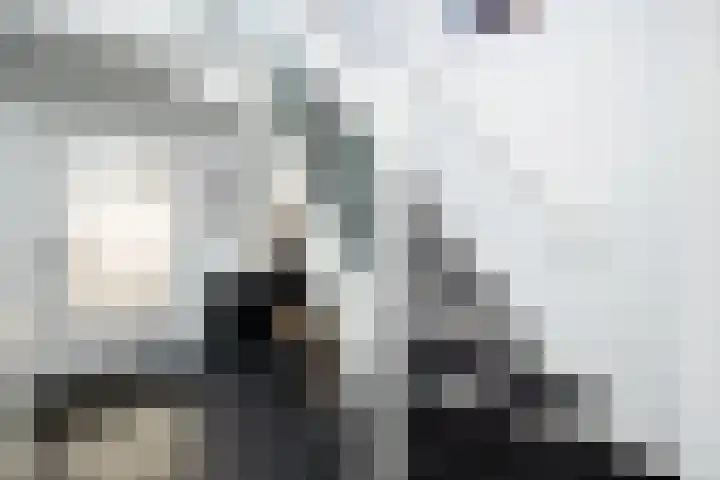 Het Hof 1 B Gemonde thumbnail 21