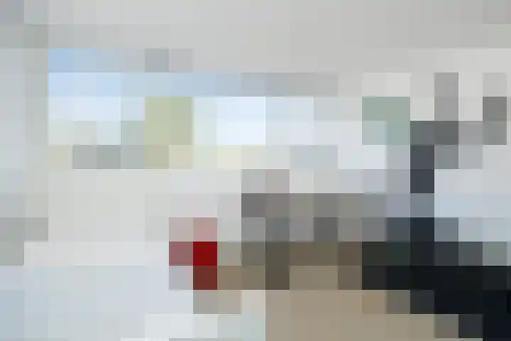 Het Hof 1 B Gemonde thumbnail 25