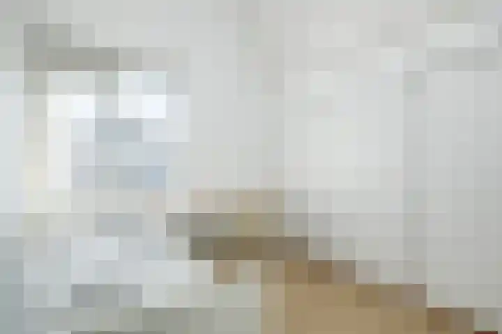 Het Hof 1 B Gemonde thumbnail 26
