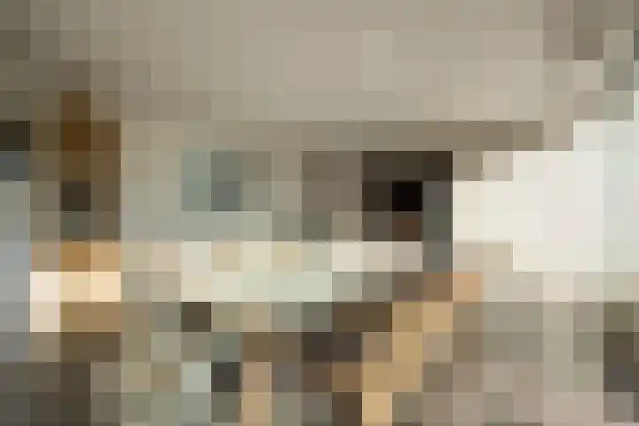 Het Hof 1 B Gemonde thumbnail 35