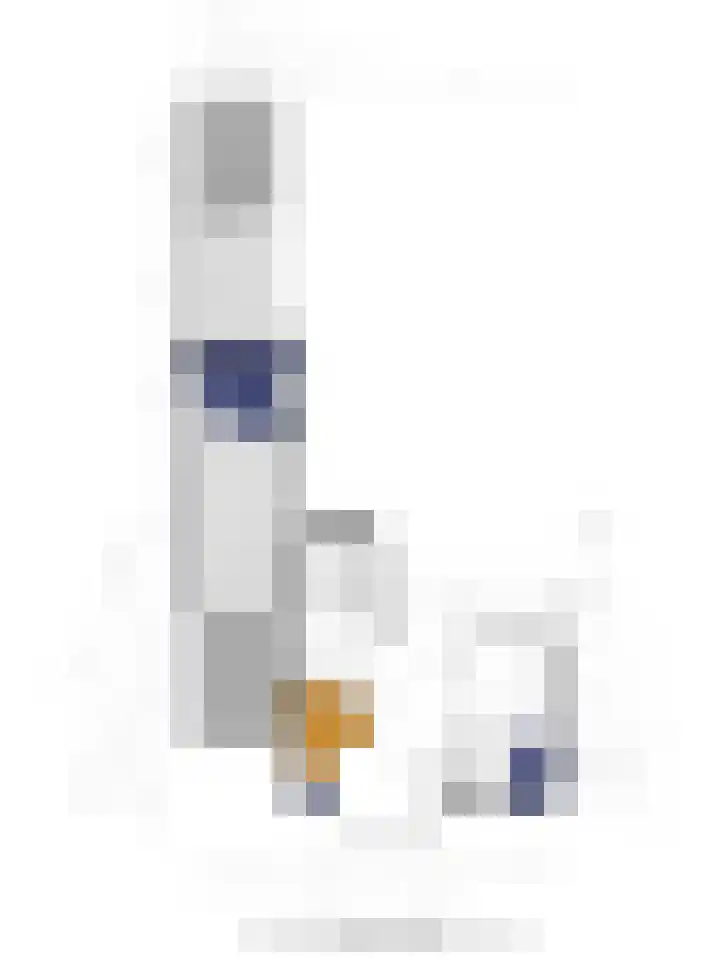Het Hof 1 B Gemonde thumbnail 46