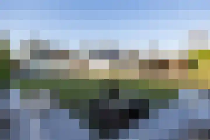 Het Hof 1 B Gemonde thumbnail 5
