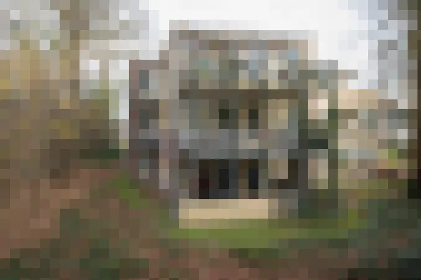 Het Hof van Rolde 18 Rolde foto 2
