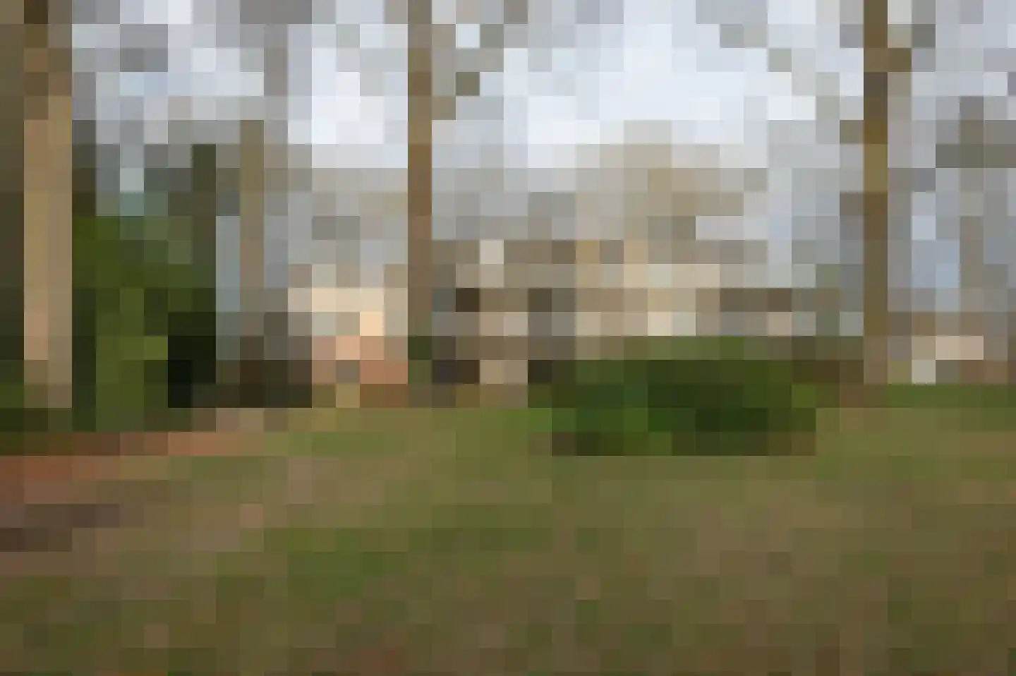 Het Hof van Rolde 18 Rolde thumbnail 34