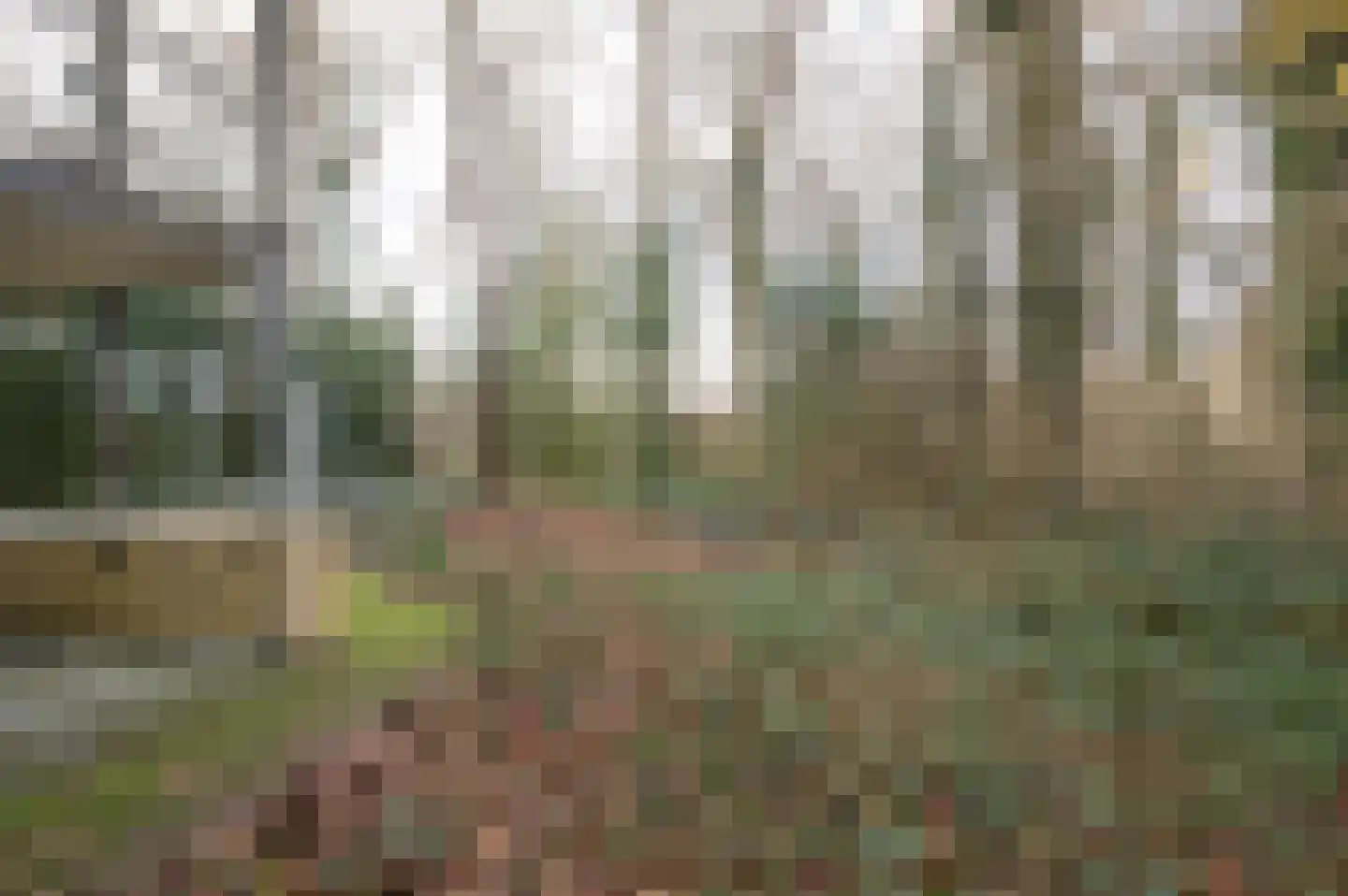 Het Hof van Rolde 18 Rolde thumbnail 35
