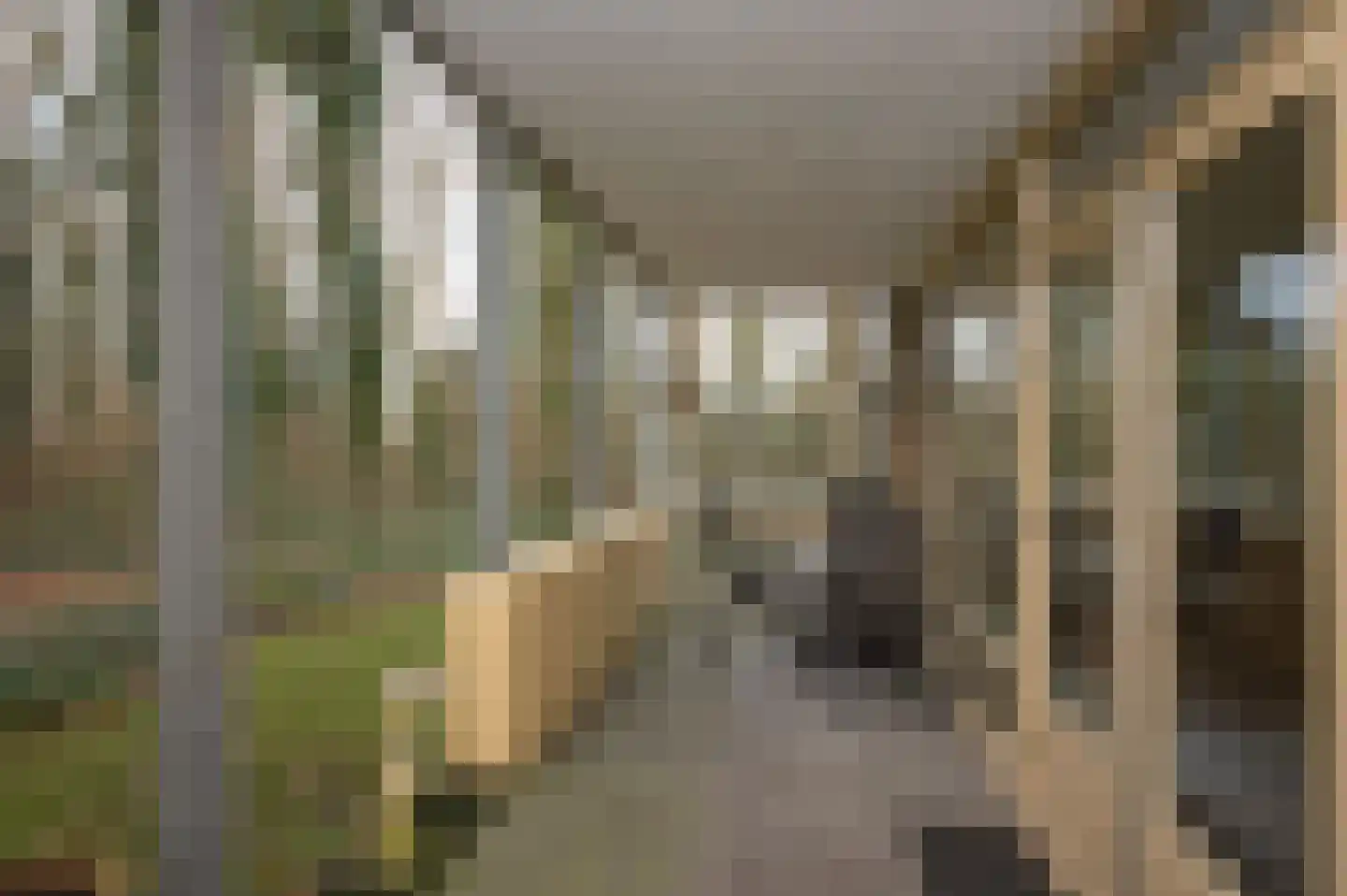 Het Hof van Rolde 18 Rolde thumbnail 37