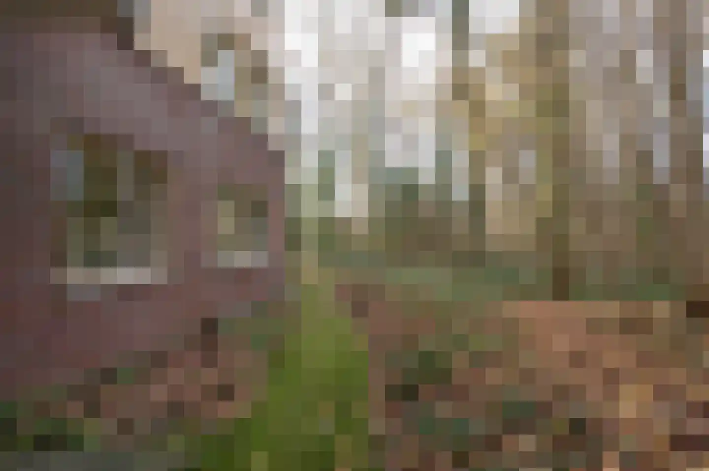 Het Hof van Rolde 18 Rolde thumbnail 39