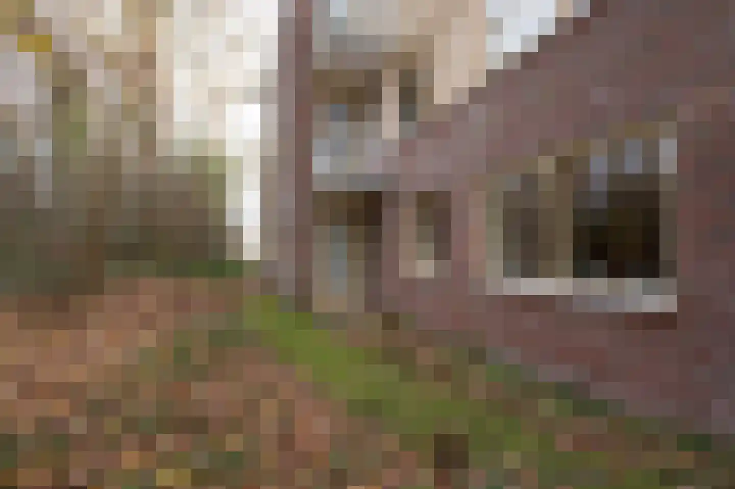 Het Hof van Rolde 18 Rolde thumbnail 40
