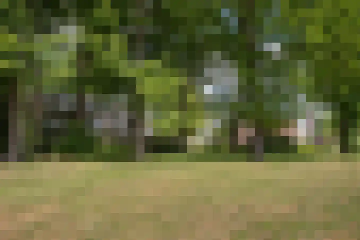Het Hof van Rolde 18 Rolde thumbnail 46