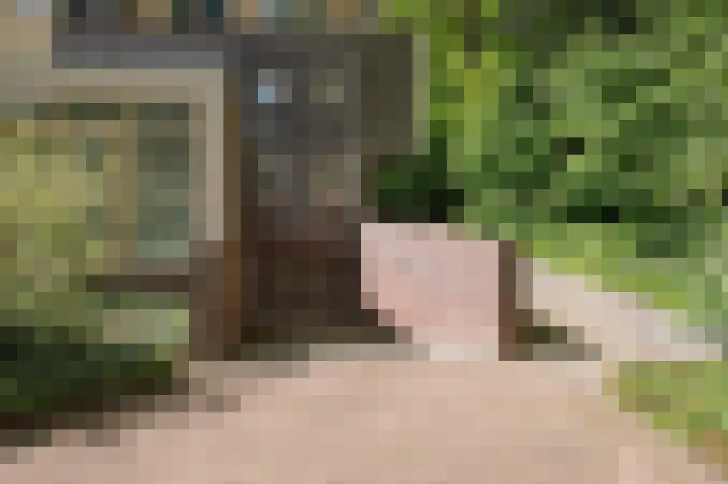 Het Hof van Rolde 18 Rolde thumbnail 52