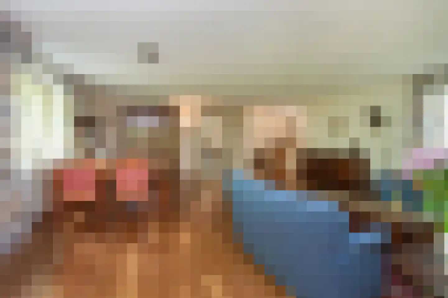 Het Hof van Rolde 18 Rolde thumbnail 6