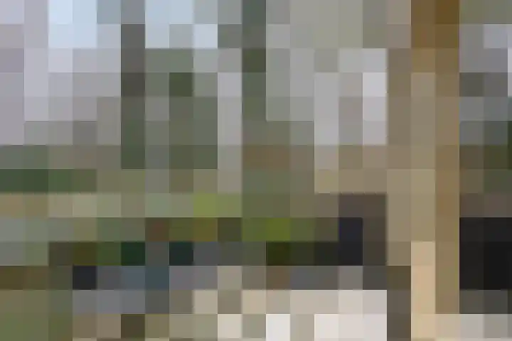 Het Hof van Rolde 30 Rolde thumbnail 16
