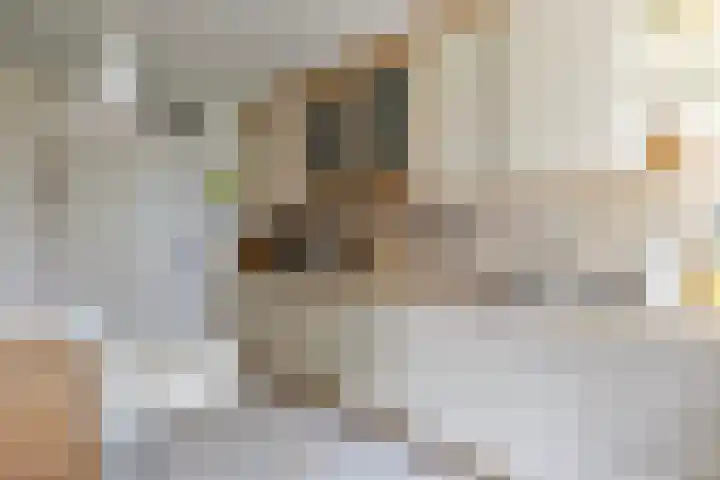 Het Hof van Rolde 30 Rolde thumbnail 21