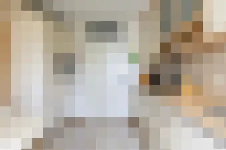 Het Hof van Rolde 30 Rolde thumbnail 22