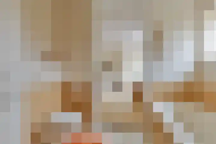 Het Hof van Rolde 30 Rolde thumbnail 29