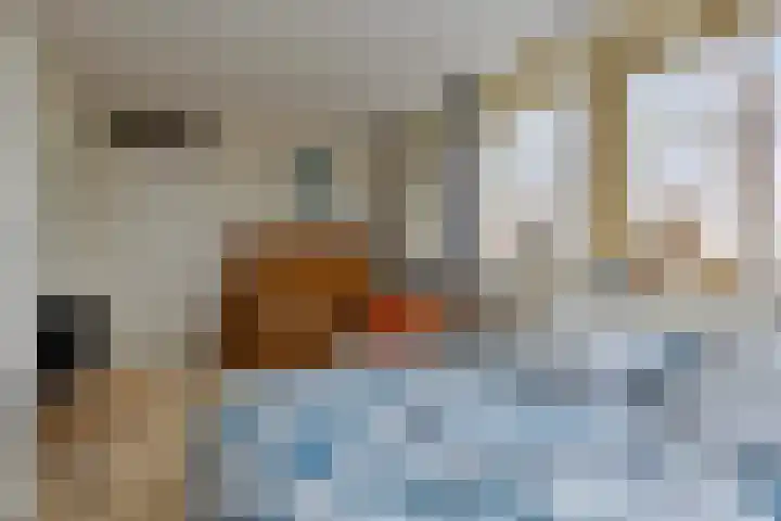 Het Hof van Rolde 30 Rolde thumbnail 32