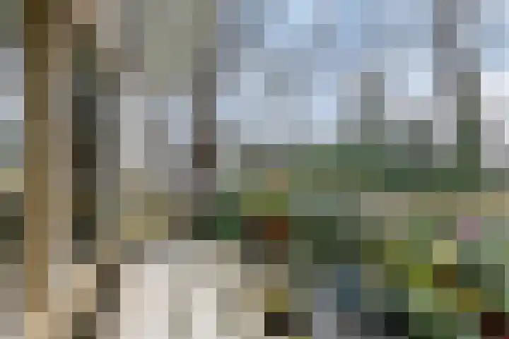 Het Hof van Rolde 30 Rolde thumbnail 4
