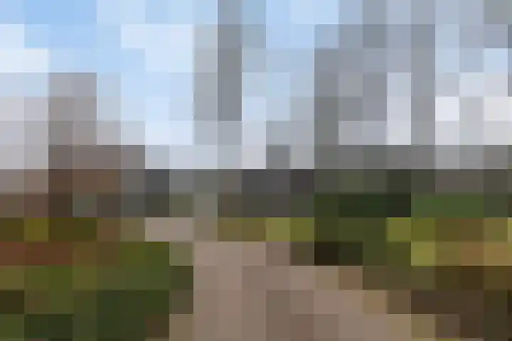 Het Hof van Rolde 30 Rolde thumbnail 41