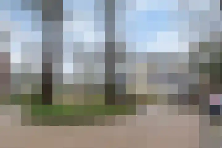 Het Hof van Rolde 30 Rolde thumbnail 43