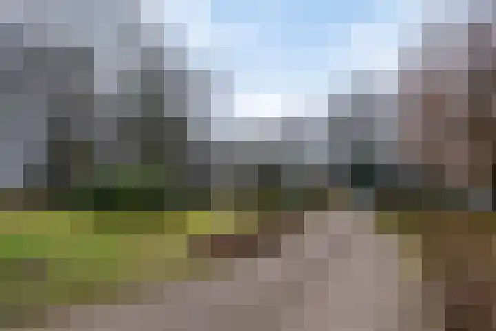 Het Hof van Rolde 30 Rolde thumbnail 5