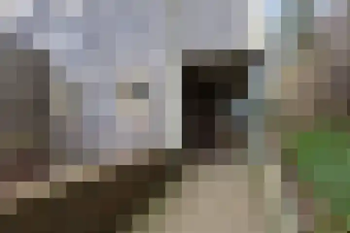 Het Hof van Rolde 30 Rolde thumbnail 7