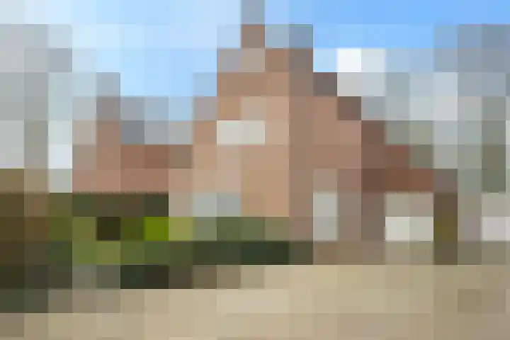 Het Hofveld 16 in Bladel