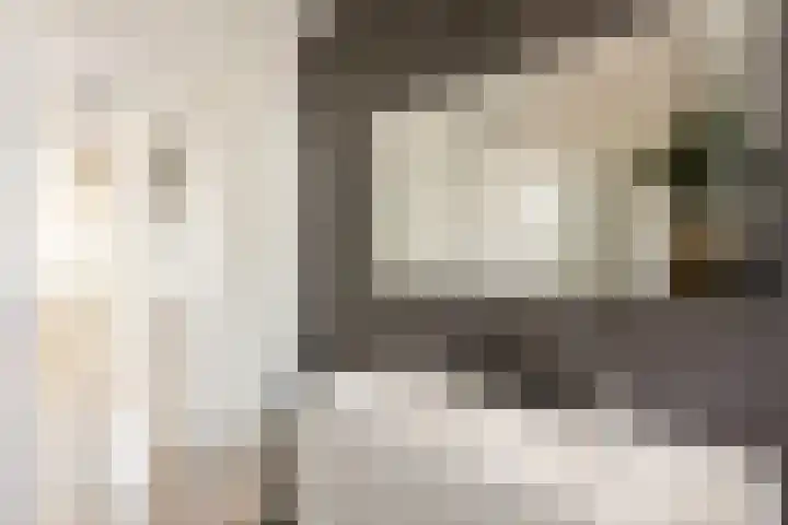 het Hoge Rot 58 Hernen thumbnail 24