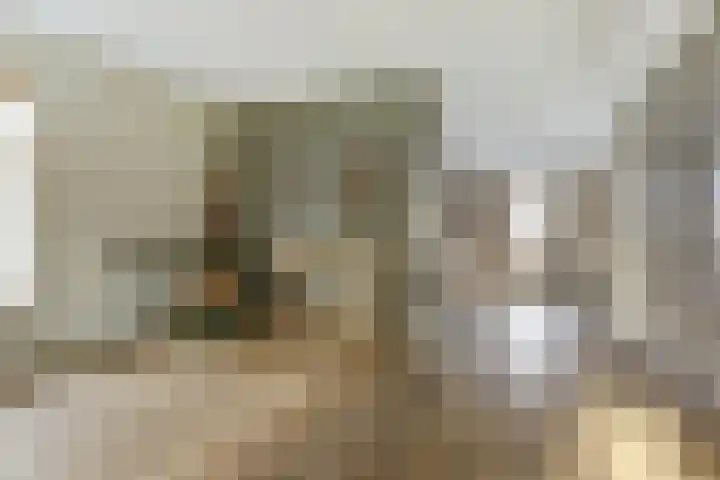 het Hoge Rot 99 Hernen thumbnail 13