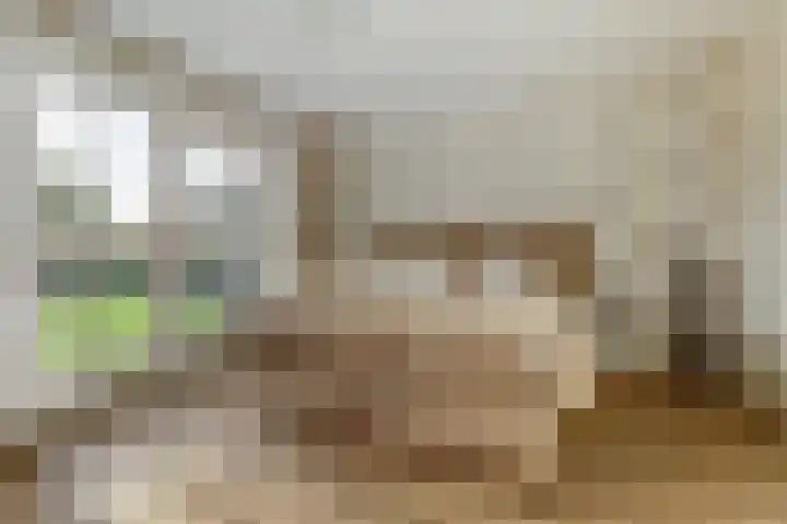 het Hoge Rot 99 Hernen thumbnail 28