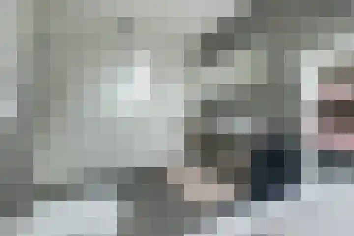 het Hoge Rot 99 Hernen thumbnail 62