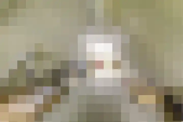 het Hoge Rot 99 Hernen thumbnail 65