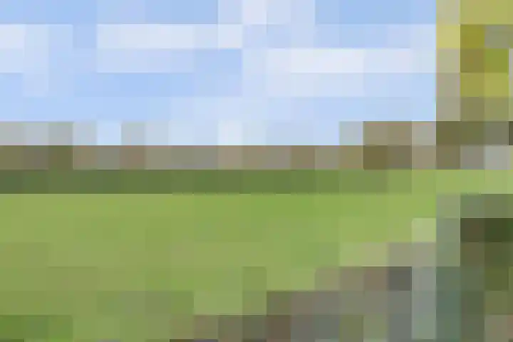 het Hoge Rot 99 Hernen thumbnail 67