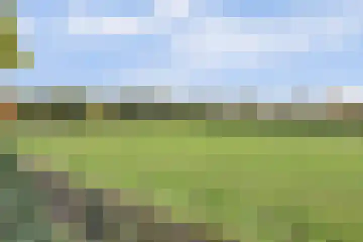 het Hoge Rot 99 Hernen thumbnail 68