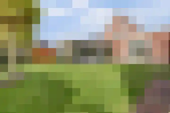 het Hoge Rot 99 Hernen thumbnail 69