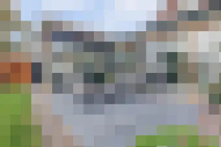 het Hoge Rot 99 Hernen thumbnail 72