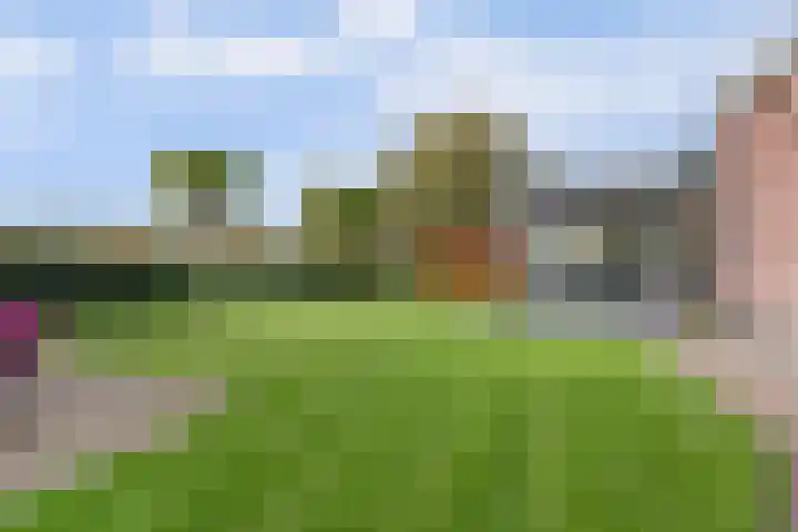het Hoge Rot 99 Hernen thumbnail 74