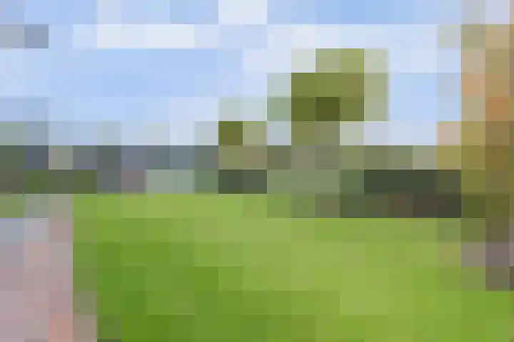 het Hoge Rot 99 Hernen thumbnail 75