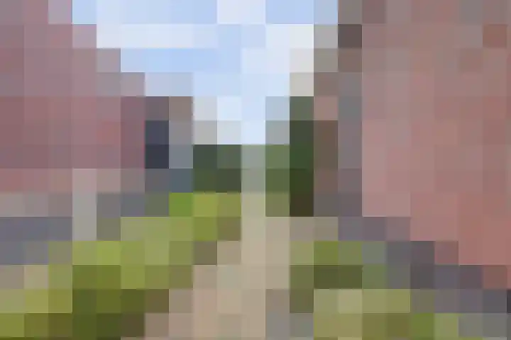het Hoge Rot 99 Hernen thumbnail 82