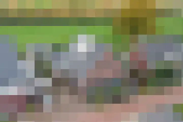 het Hoge Rot 99 Hernen thumbnail 83