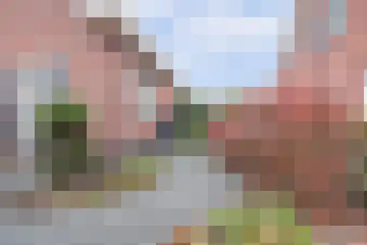 het Hoge Rot 99 Hernen thumbnail 87