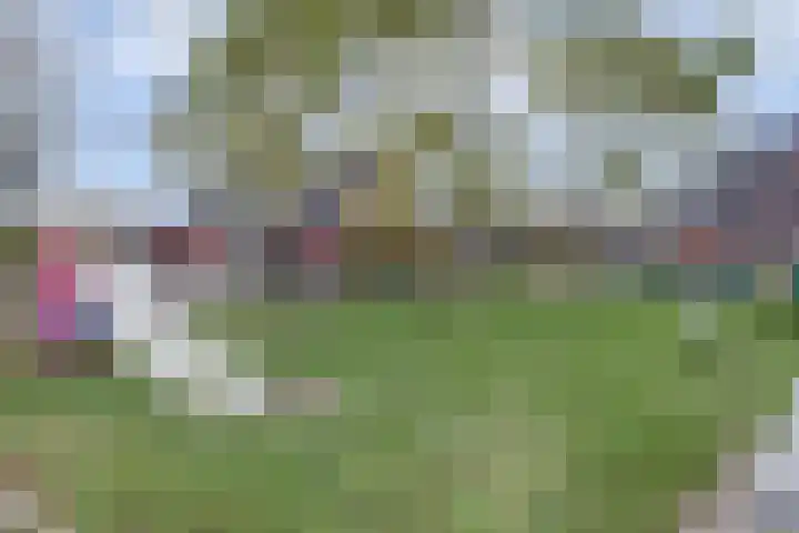 het Hoge Rot 99 Hernen thumbnail 89