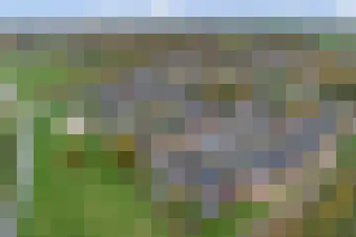 het Hoge Rot 99 Hernen thumbnail 90