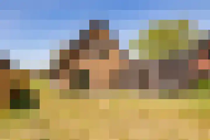 Het Hooge Veld 5 Zuidwolde thumbnail 38